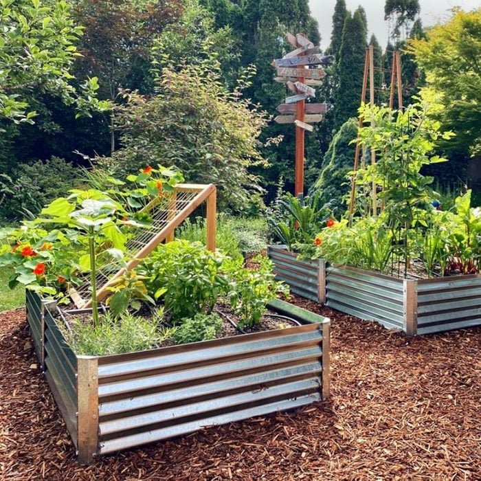 Raised garden bed ideas