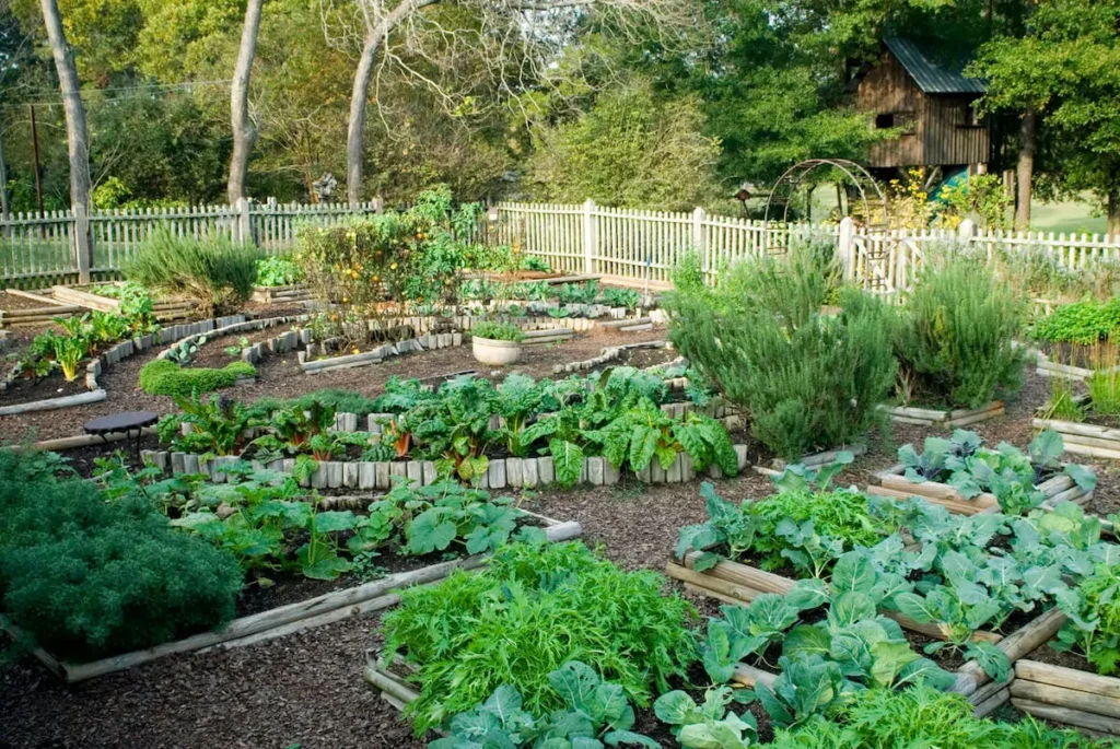 Raised garden bed ideas
