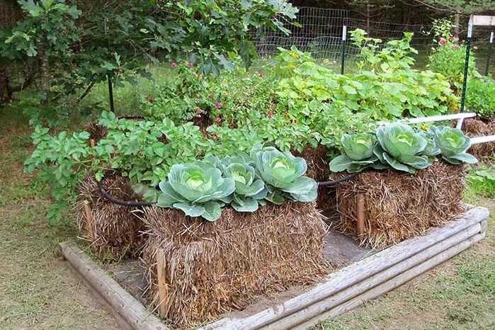 Raised garden bed ideas