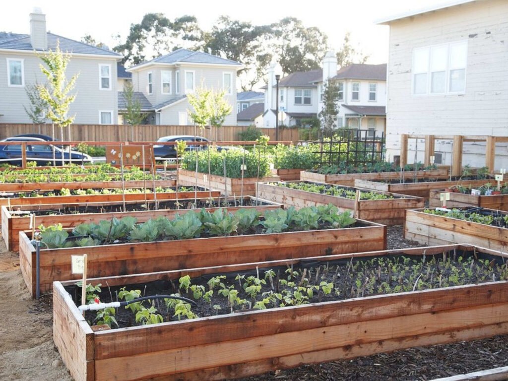 Raised garden bed ideas