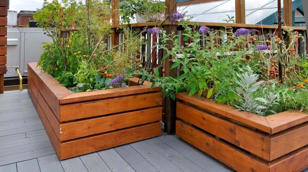 Raised garden bed ideas