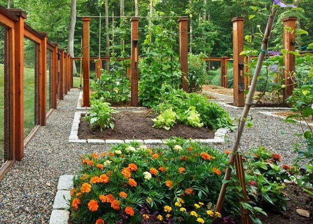 Raised garden bed ideas