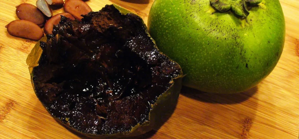 Black Sapote - Diospyros digyna