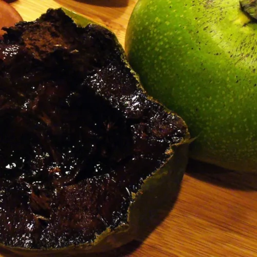 How to grow Black Sapote (Diospyros digyna)