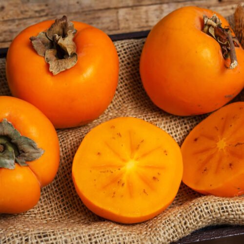 How to grow Date Plum (Diospyros lotus)