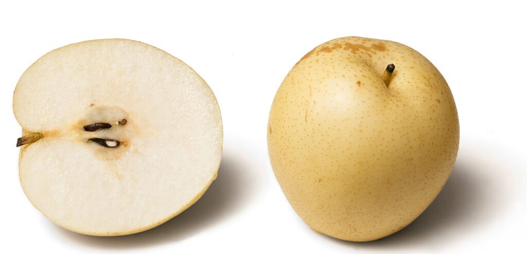 Chinese pear - Pyrus pyrifolia