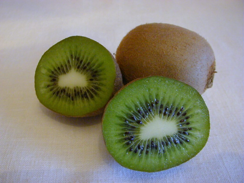 Kiwi Fruit - Actinidia deliciosa