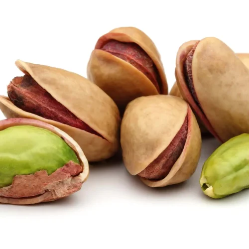 How to grow Pistachio (Pistacia vera)