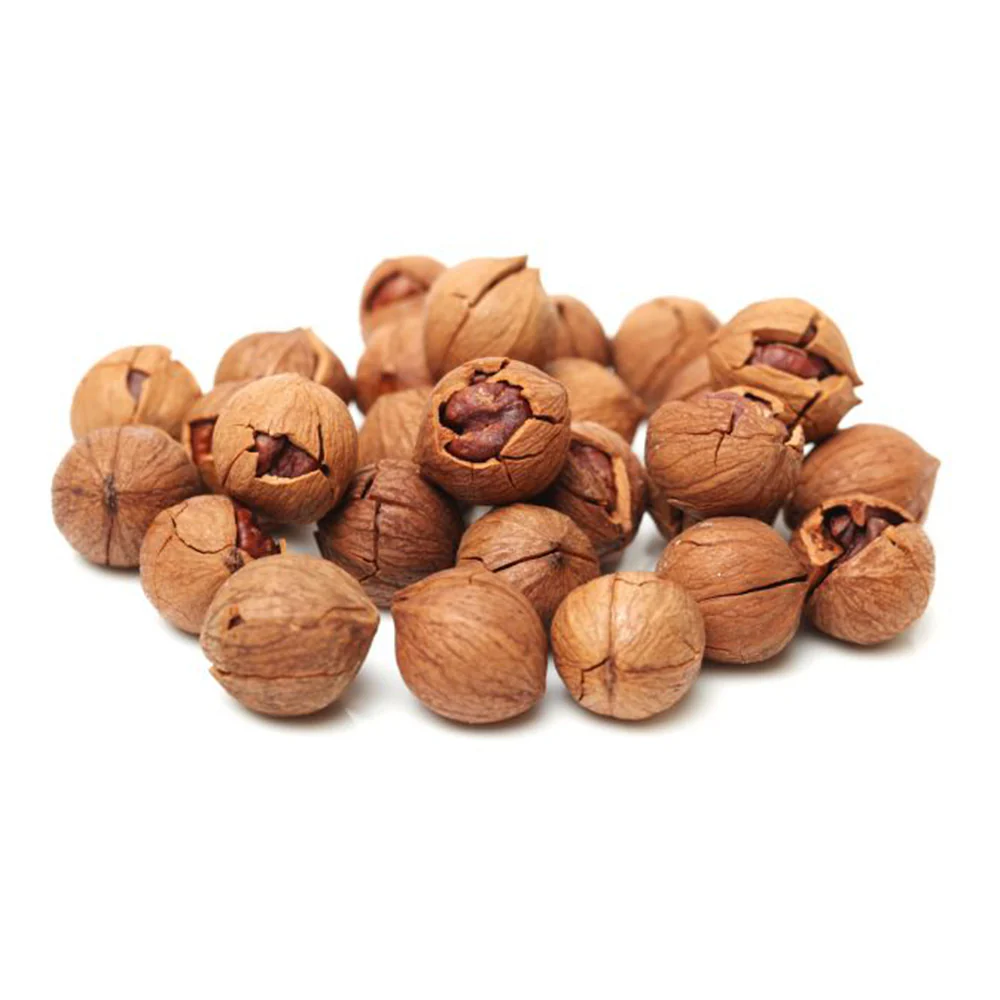 Shagbark Hickory - Carya ovata