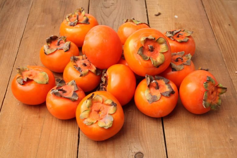 Japanese persimmon - Diospyros kaki
