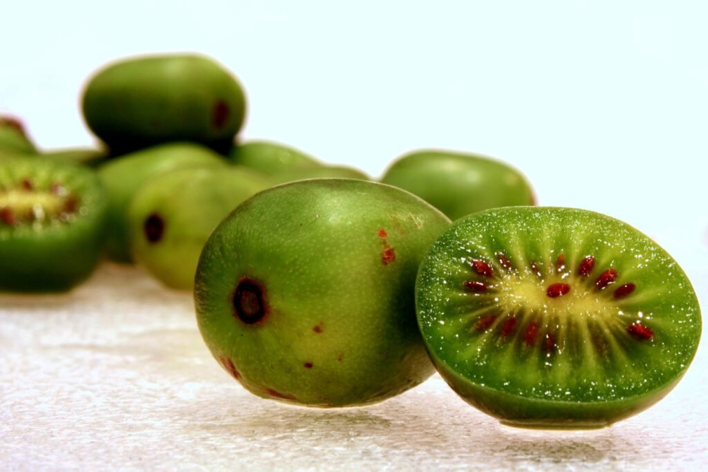 Kiwi Fruit - Actinidia kolomikta